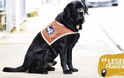 Blindenhund Eloy wurde schon mal der Zutritt zu einer Reutlinger Bäckerei verweigert.