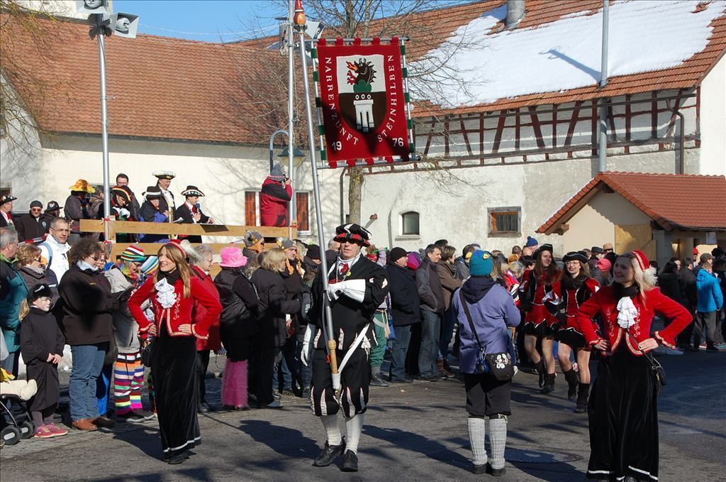 Fasnetsumzug in Steinhilben 17. Februar 2015