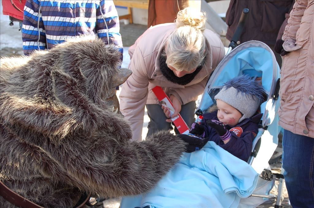 Fasnetsumzug in Steinhilben 17. Februar 2015