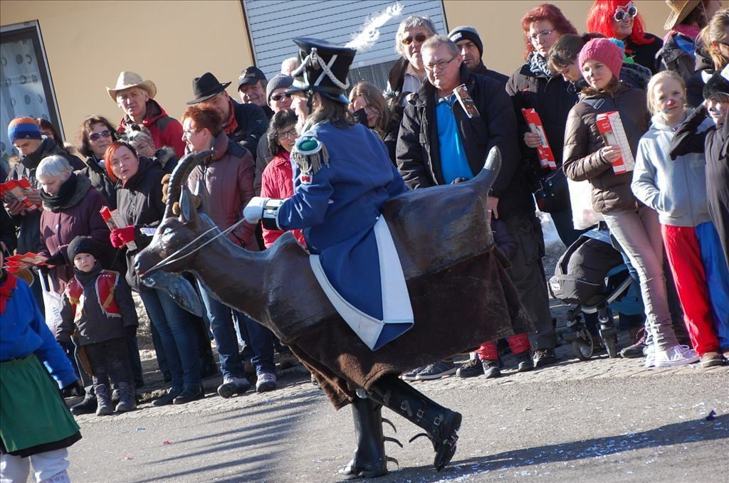 Fasnetsumzug in Steinhilben 17. Februar 2015