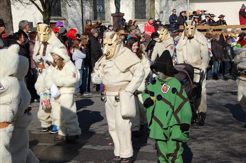 Fasnetsumzug in Steinhilben 17. Februar 2015