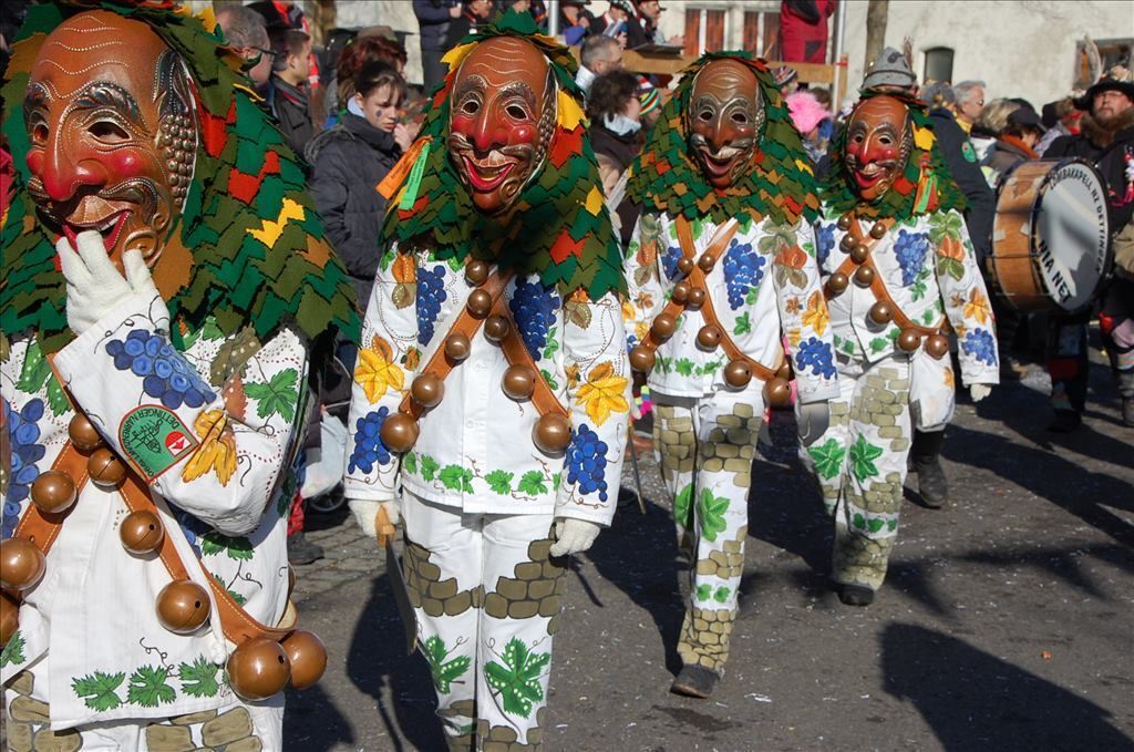 Fasnetsumzug in Steinhilben 17. Februar 2015