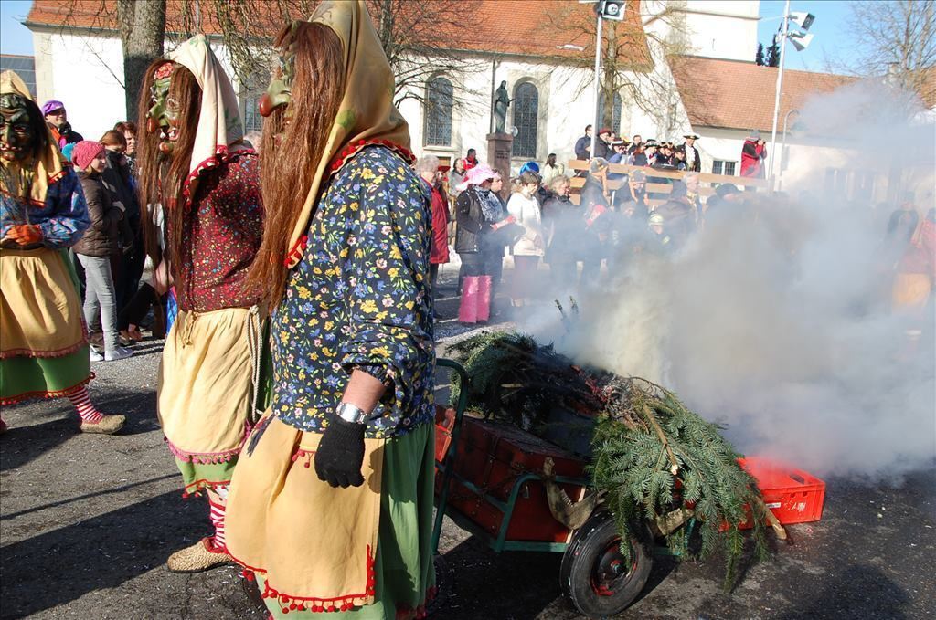 Fasnetsumzug in Steinhilben 17. Februar 2015