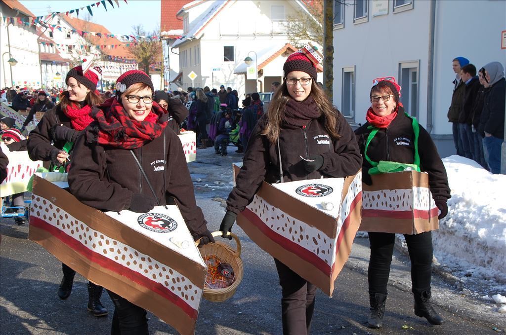 Fasnetsumzug in Steinhilben 17. Februar 2015