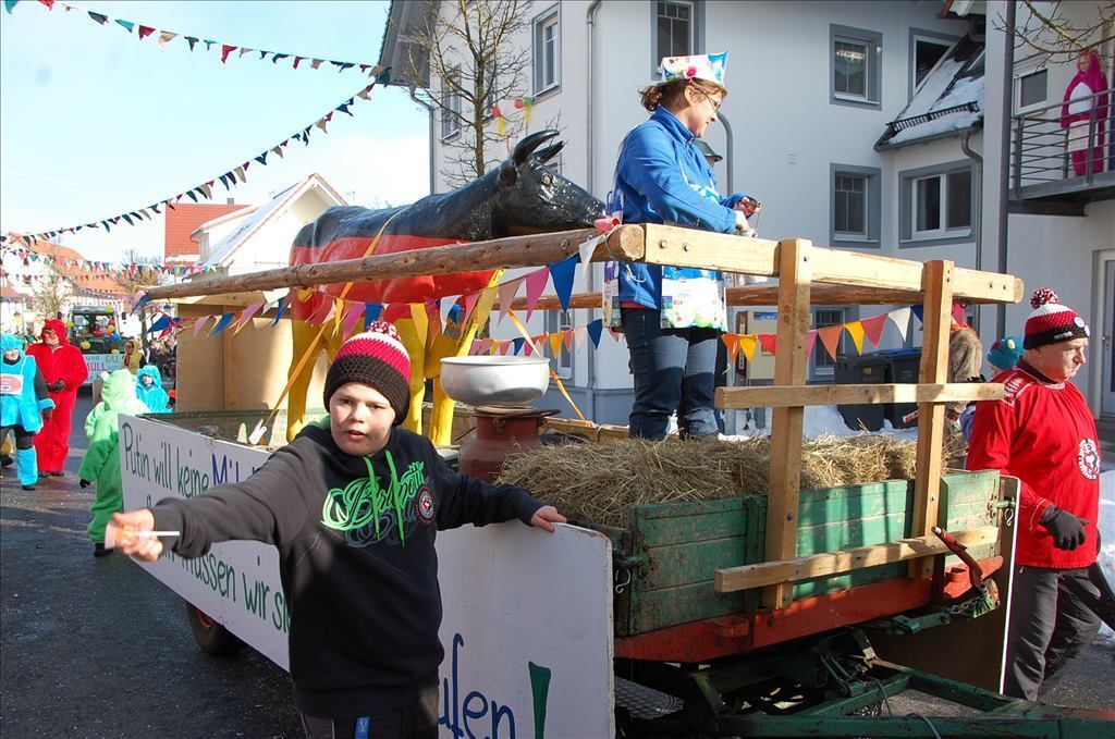 Fasnetsumzug in Steinhilben 17. Februar 2015