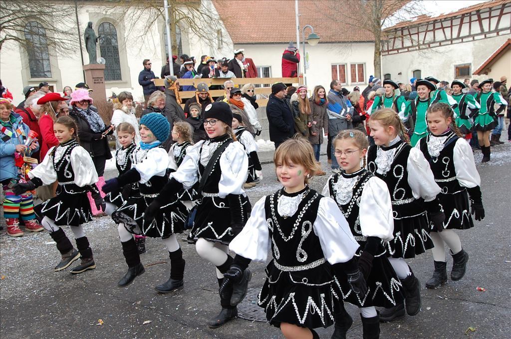 Fasnetsumzug in Steinhilben 17. Februar 2015