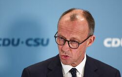 Friedrich Merz ist egal, wer für seinen Antrag stimmt.  FOTO: ALBERT/DPA 