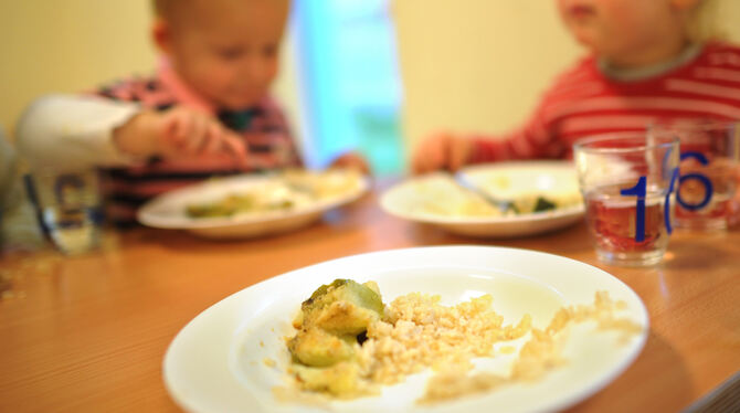 Bio,Ernährung,essen,Gesundheit,Lebensmittel,lni,mittagessen,Nahrungsmittel,Vermischtes,Kinder,Kindergarten Es wird gegessen, was auf dem Tisch kommt. In Lichtenstein wollen das einige Eltern ändern.