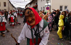 Die Gomaringer Schlosshexa auf der Straße in Aktion. FOTO: VEREIN 