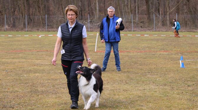 Obedience, Hunde, Dressur, Pfullingen Hohe Konzentration herrscht bei der Hundebesitzerin und ihrem aufmerksamen Border Collie, der genau bei Fuß gehen muss. Der Prei