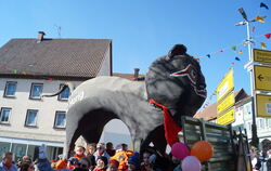 Die horige Katz ist das Wahrzeichen der Gammertinger Fasnet.  FOTOS: WURSTER