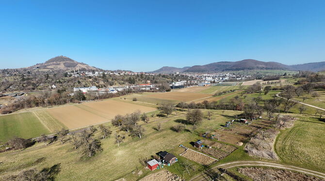 Galgenrain_Pfullingen_050325_2 Kleingartenanlagen, Streuobstwiesen und landwirtschaftliche Flächen prägen das Gewann »Galgenrain« zwischen Pfullingen und Ening