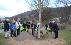 Bürgermeister Elmar Rebmann, Gemeinderäte und Vertreter von an der Gartenschau involvierten Einrichtungen packten gemeinsam an, 