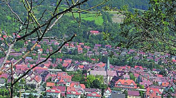 Arbeitsplatz mit Aussicht: Ziegen mähen im Auftrag Dettingens.
GEA-FOTO: CROCOLL