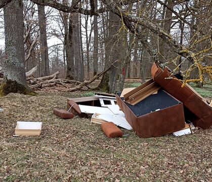 Sofas, Spiegel, Teile von Schränken: Ein halbes Wohnzimmer ist im Wald bei Betzingen illegal entsorgt worden.