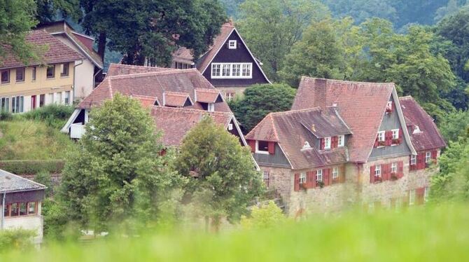 Die Odenwaldschule in Ober-Hambach bei Heppenheim. Foto: Boris Roessler