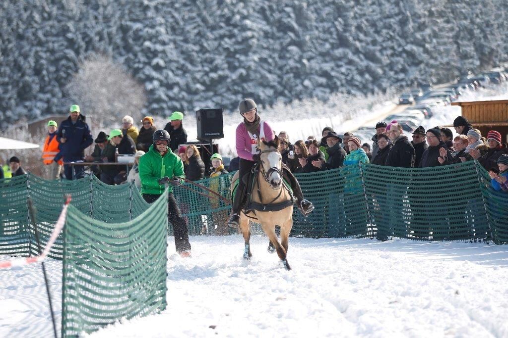 Skijöring Gächingen Dottingen 2015