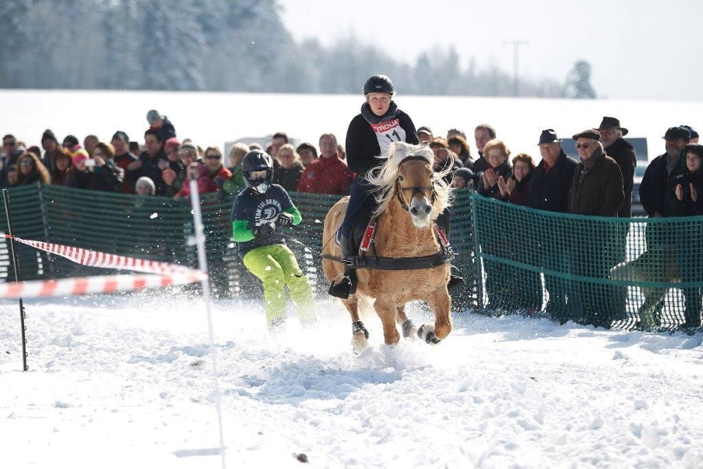 Skijöring Gächingen Dottingen 2015