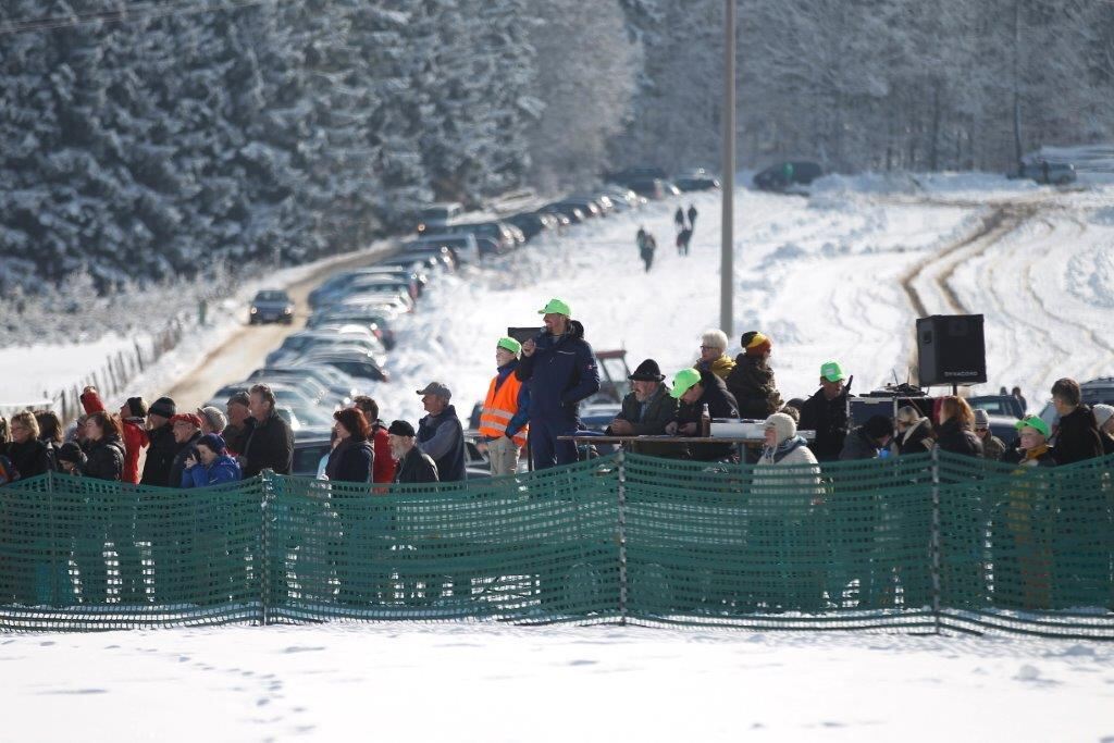 Skijöring Gächingen Dottingen 2015