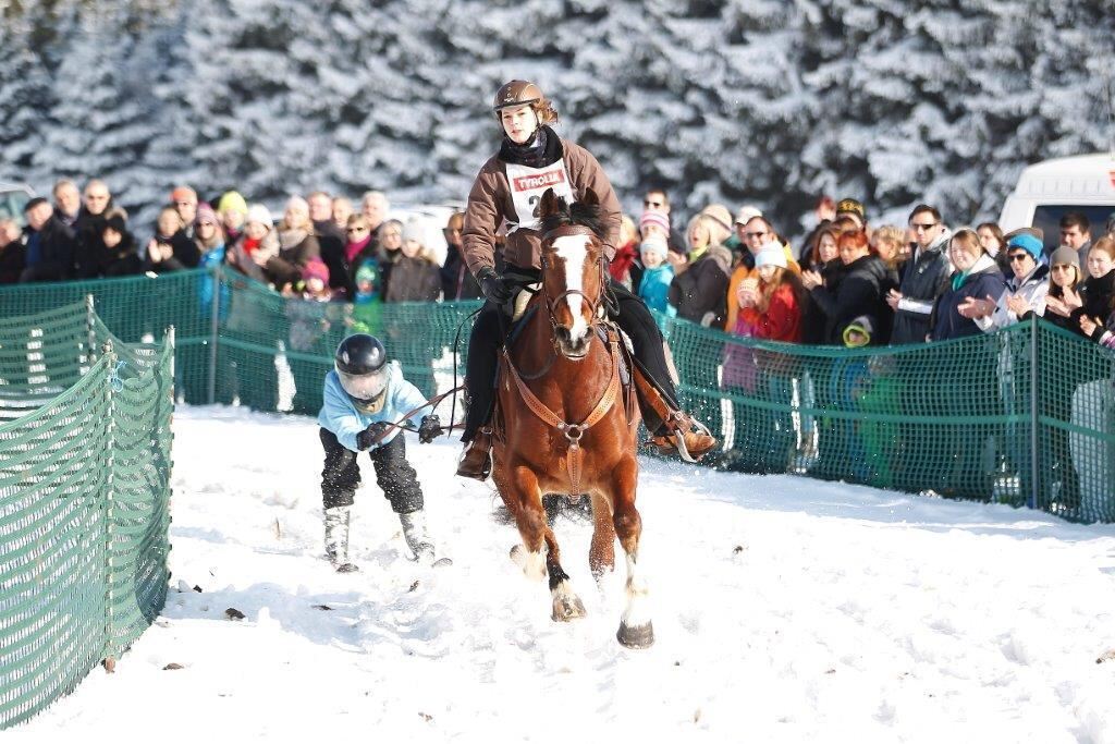 Skijöring Gächingen Dottingen 2015