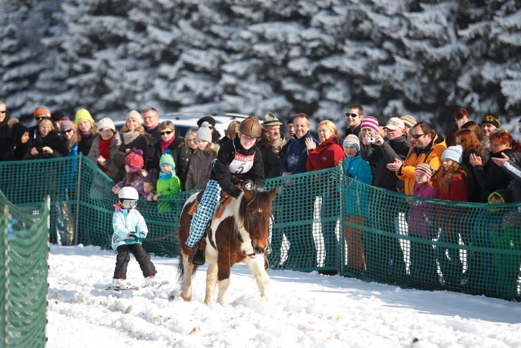 Skijöring Gächingen Dottingen 2015