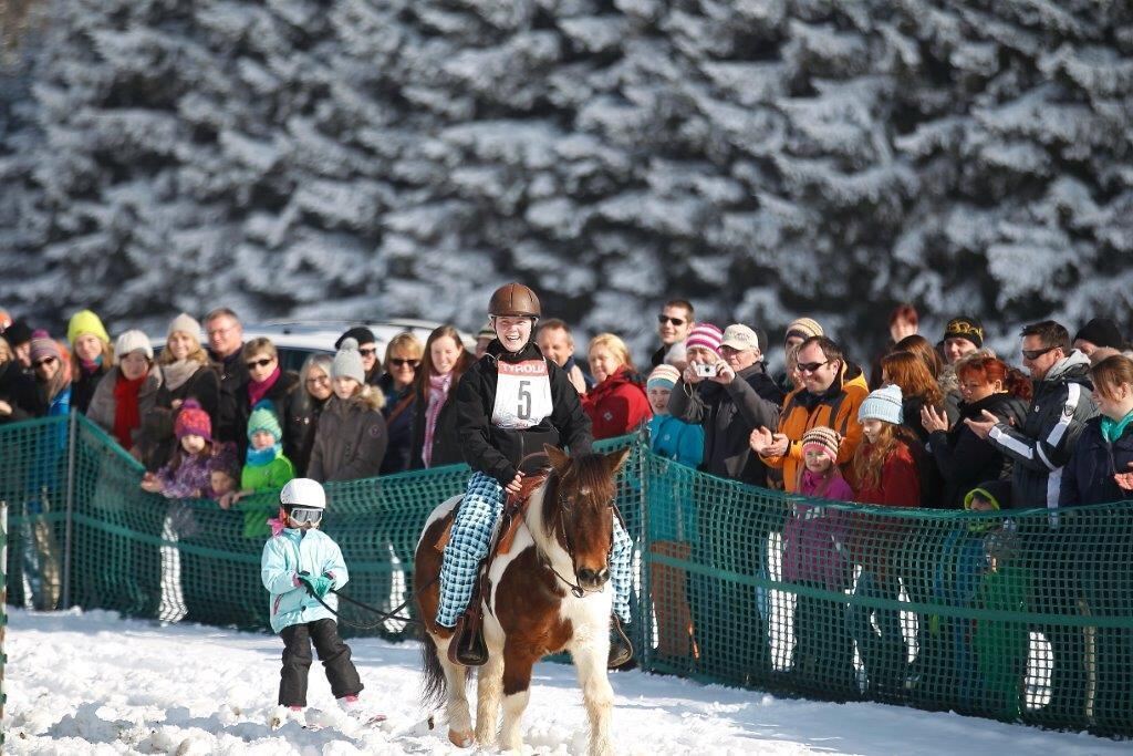 Skijöring Gächingen Dottingen 2015