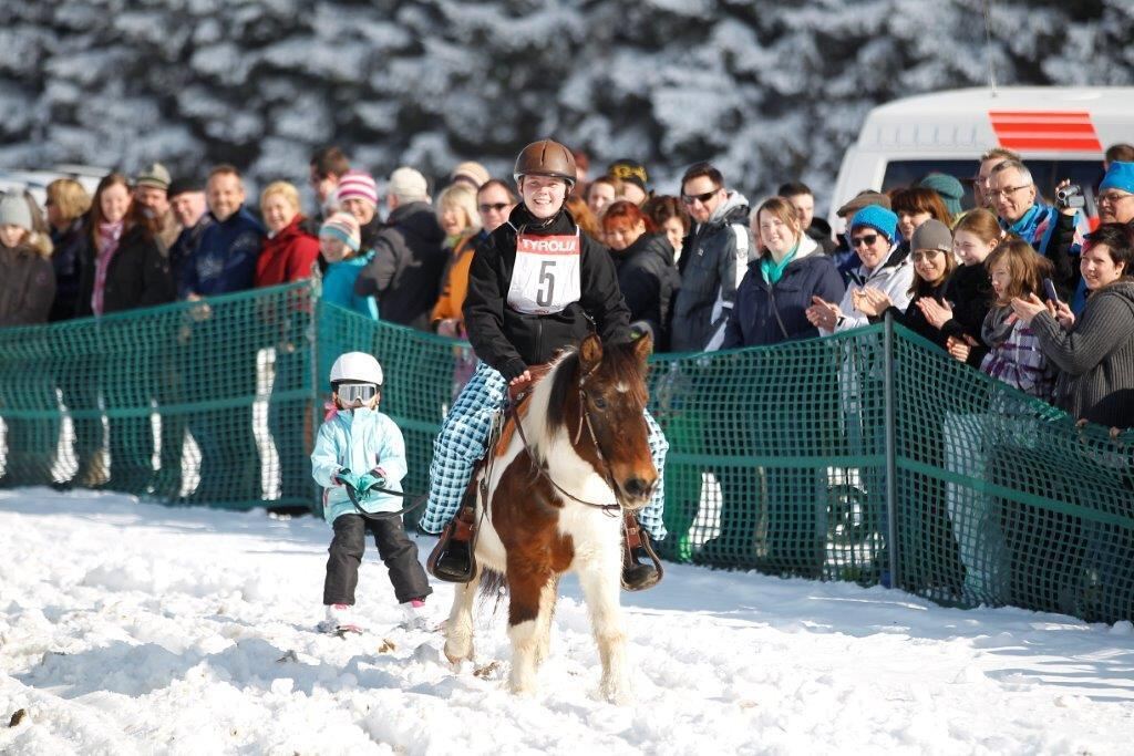 Skijöring Gächingen Dottingen 2015