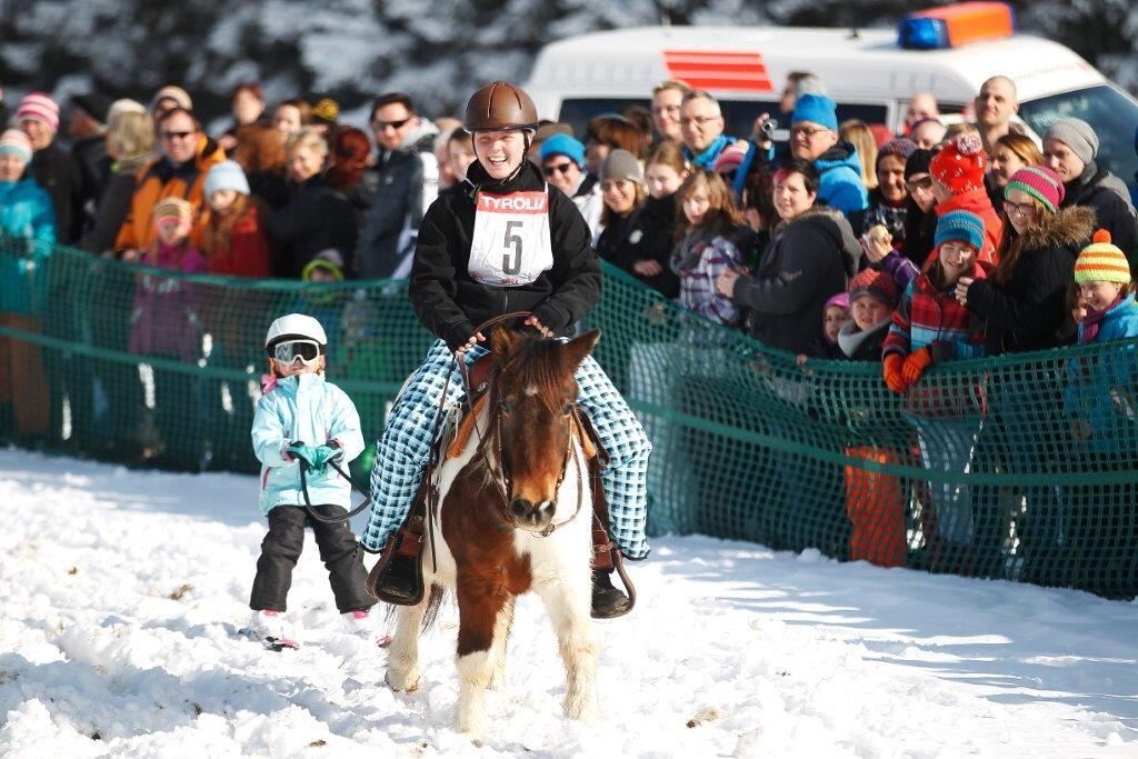 Skijöring Gächingen Dottingen 2015