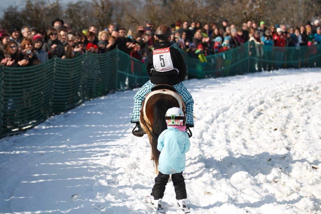 Skijöring Gächingen Dottingen 2015