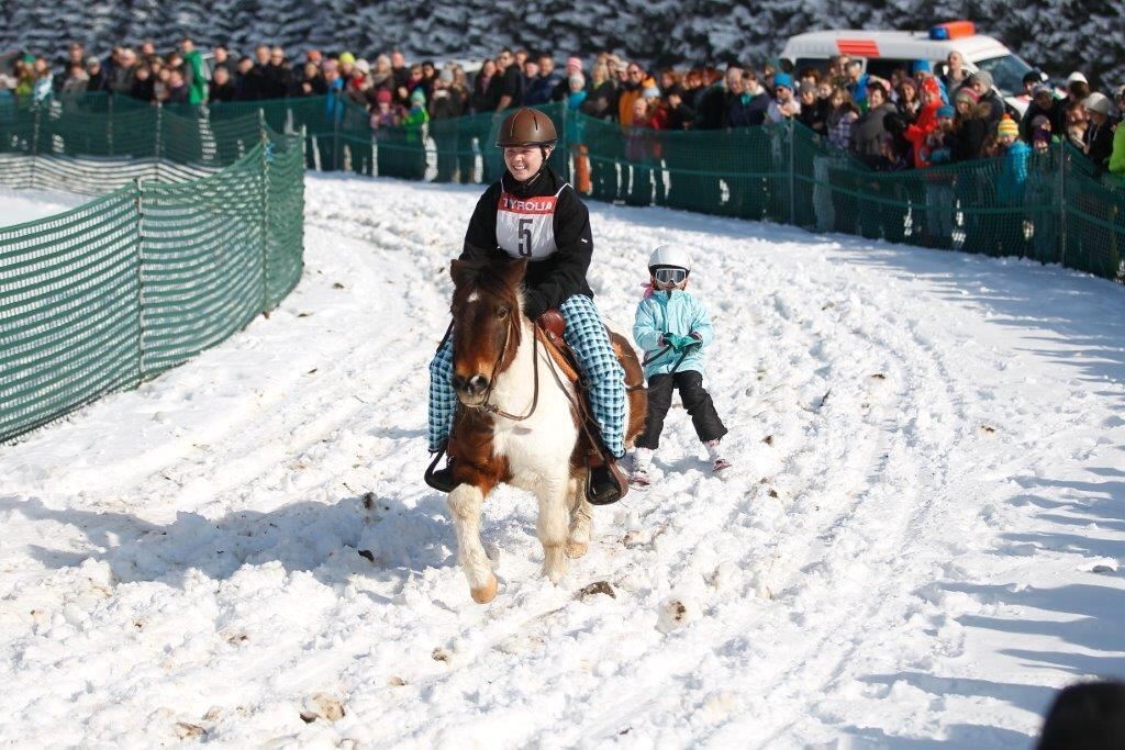 Skijöring Gächingen Dottingen 2015