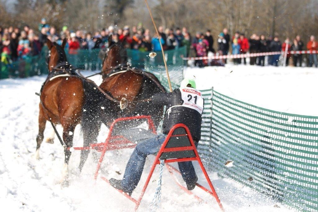 Skijöring Gächingen Dottingen 2015