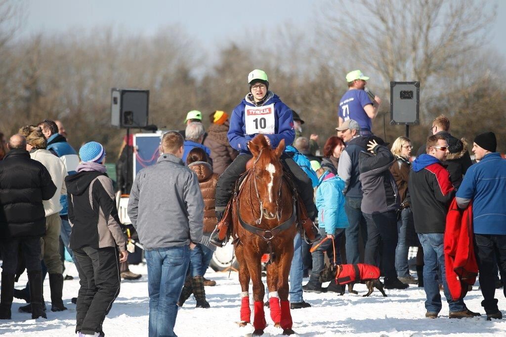 Skijöring Gächingen Dottingen 2015