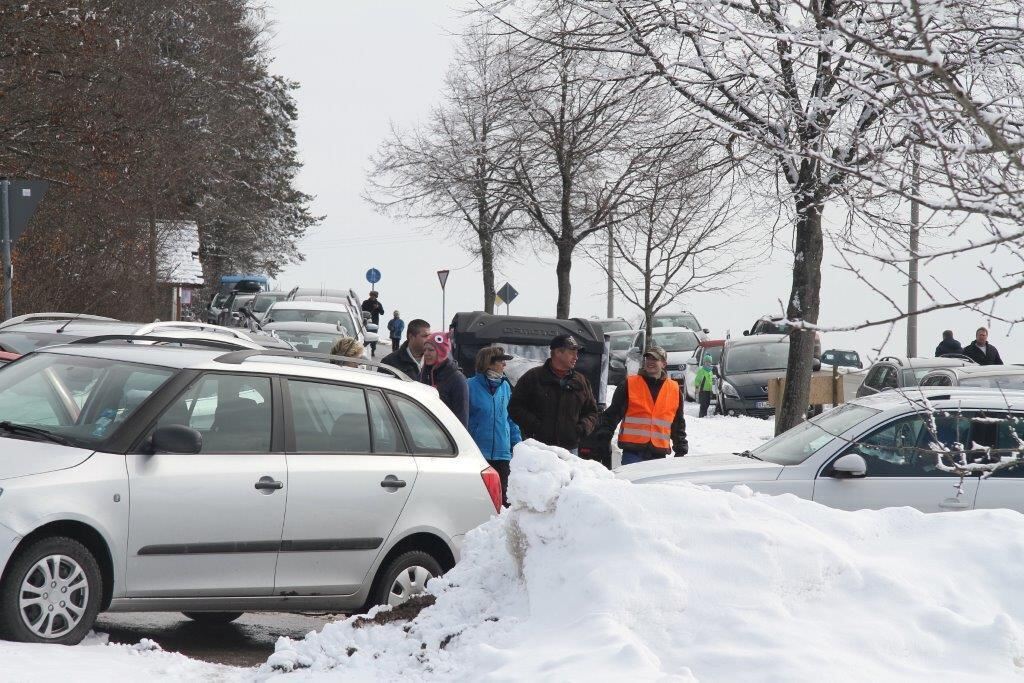 Skijöring Gächingen Dottingen 2015