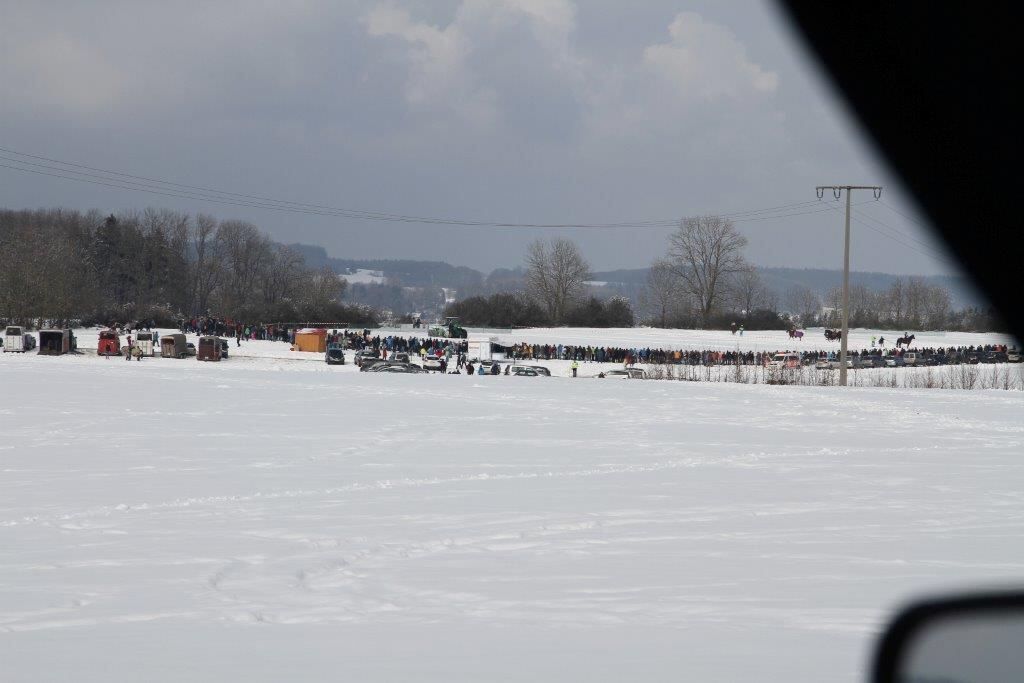 Skijöring Gächingen Dottingen 2015