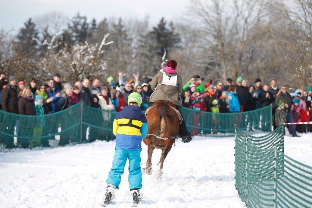 Skijöring Gächingen Dottingen 2015