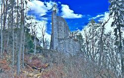 Eindrucksvoll ragt der Hohenerpfingen über dem Tal auf. Die Bäume, die das Mauerwerk zerstören könnten, sollen jetzt entfernt we