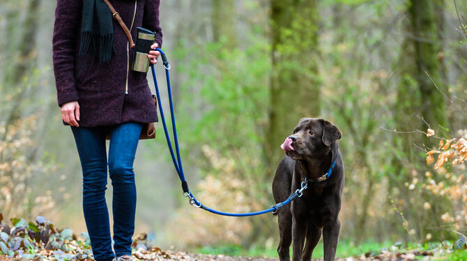 nsb, lni Mit der Hundesteuer will Nehren vor allem die Kosten für die Hundetüten und deren Entsorgung refinanzieren.