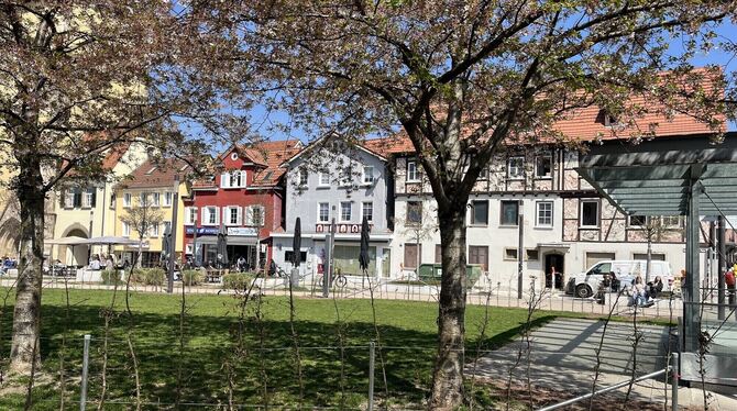 Biergarten Reutlingen Tübinger Tür Hier soll ein Biergarten entstehen: Grünfläche beim Tübinger Tor.