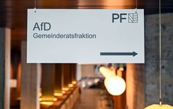 AfD-Fraktion Pforzheim
