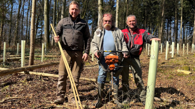 Bäume Helmut Bader (Mitte) und seine Gemeinderatskollegen Ulrich Joos (rechts) und Dominik Taubmann beim Walduzmbau am Hummelberg zwis