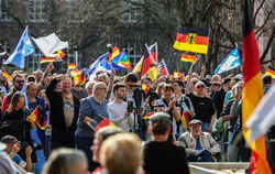 Bundesweit_Demos_Gem_85440093