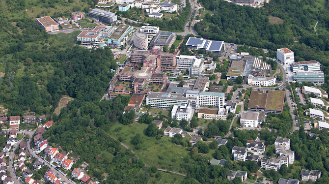 Uniklinikum Die drei Pfleger Nidhal Sakhri, Jovica Ecimovic und Mark Joseph Briones sind aus dem Ausland nach Tübingen gekommen, um unter ve