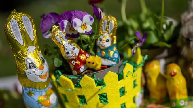 Frühling, Süßigkeiten, Schokohasen, Schokolade, Symbolbild, Illustration, Schokohase, Osterdeko, Osterhase, Süßes, Ostern, Blume Schoko-Osterhasen sind teurer geworden. Und nicht nur die.