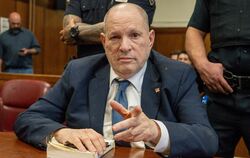Prozess wegen Sexualverbrechen gegen den Ex-Filmmogul
