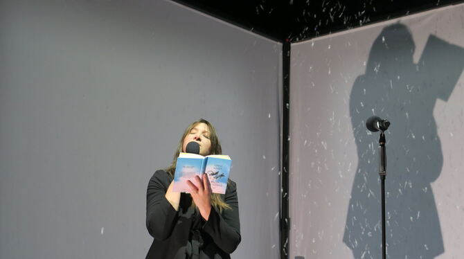 sophie hunger lesung walzer für niemand theaterhaus foto akr Kunstschnee und Schattenspiele: Bei der Buchvorstellung von Sophie Hunger im Theaterhaus war einiges geboten.