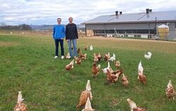 Die Hühner der Familie Schnitzler in Ohnastetten bekommen ein "Dach" über ihre Wiese: Hier entsteht eine Agri-PV-Anlage, die nic