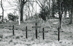 Vier Grabkreuze erinnern am Schönen Weg der am 24. April 1945 erschossenen Geiseln. 