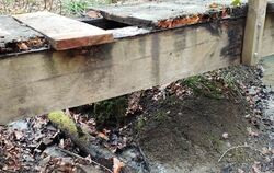 Immer wieder werden mutwillig Bretter der Brücke über den Reichenbach abgetreten und das Geländer beschädigt.