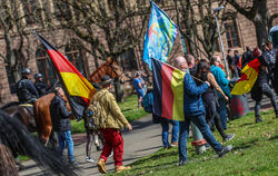 Bundesweit_Demos_Gem_85440705