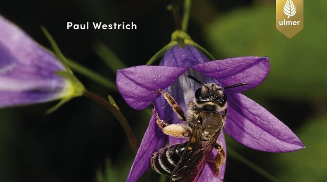 Paul Westrich: Wildbienen. Die anderen Bienen, 208 Seiten, 30 Euro, erweiterte Neuauflage, Eugen Ulmer Verlag, Stuttgart. Paul Westrich: Wildbienen. Die anderen Bienen, 208 Seiten, 30 Euro, erweiterte Neuauflage, Eugen Ulmer Verlag, Stuttgart.